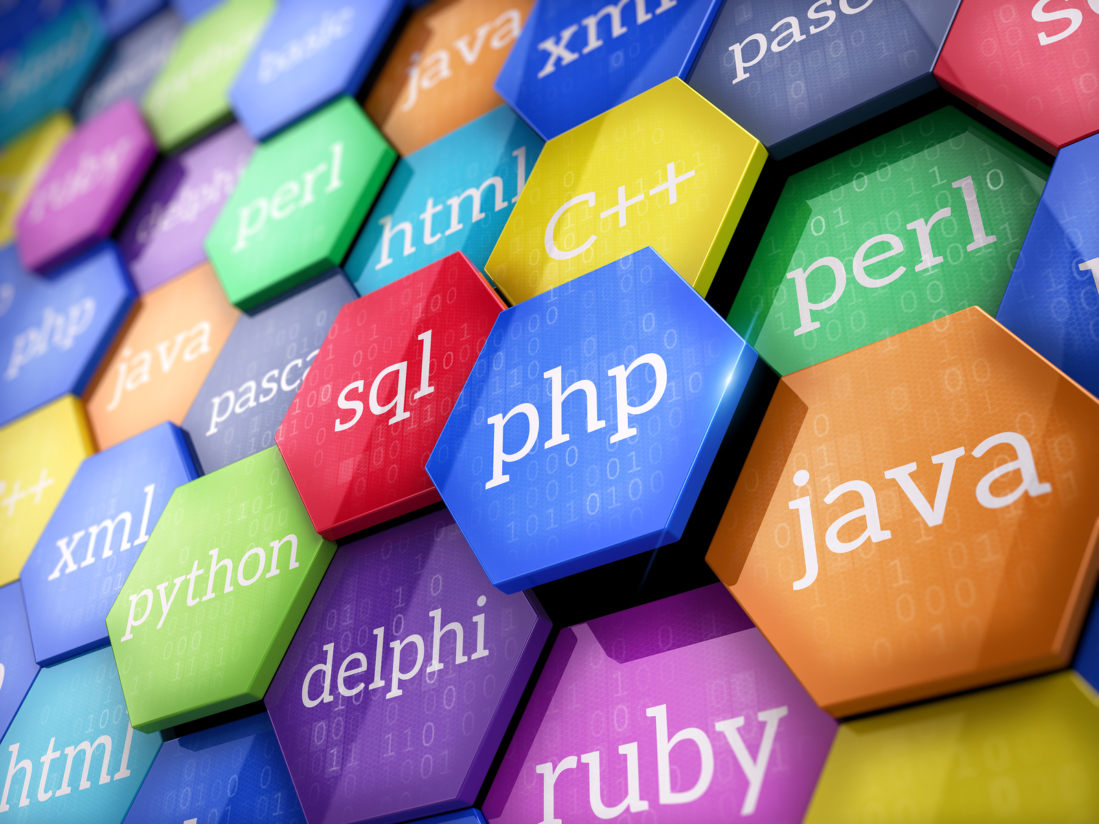 Website Development